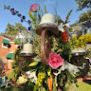 Meet your Posher, Ginger